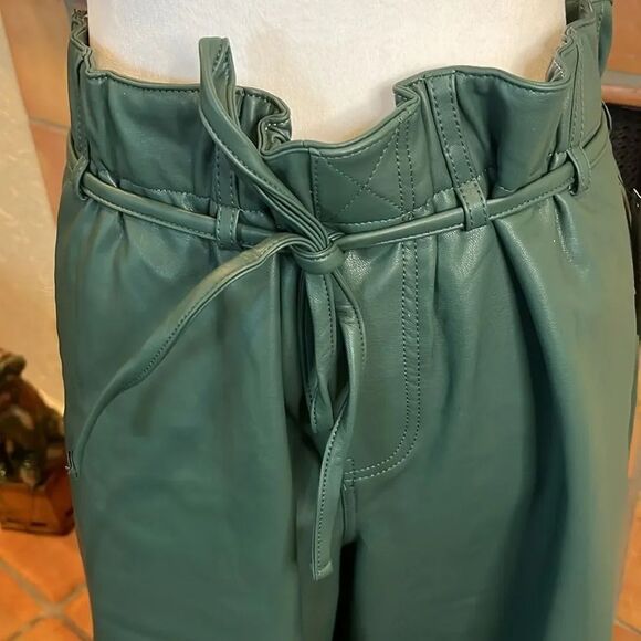 Pilcro for Anthropologie Dark Green Faux Leather Soft Parachute Pants, LP! - Picture 3 of 10